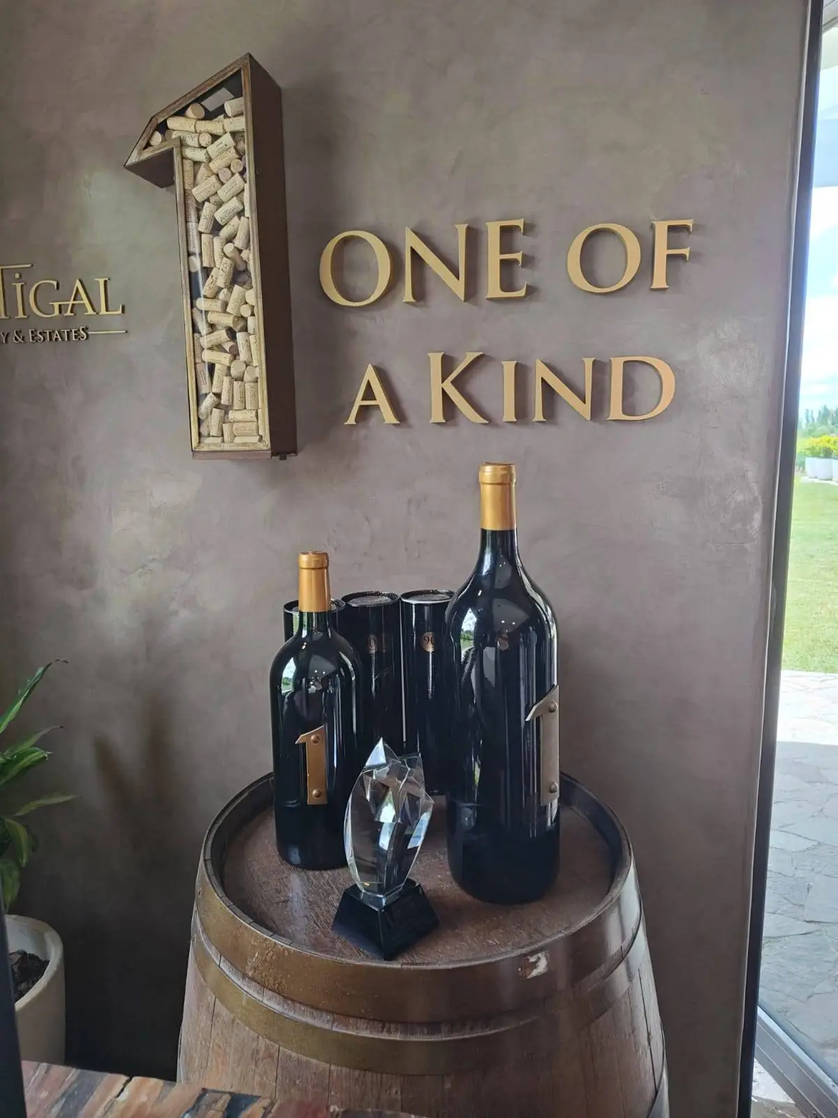 degustacion en bodega de Mendoza
