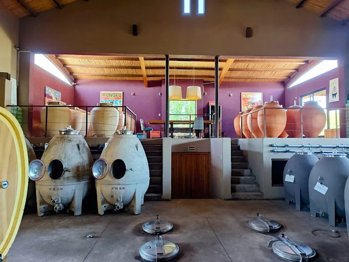 Barricas en bodega de mendoza
