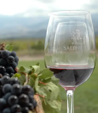  Recorridos a bodegas en Mendoza